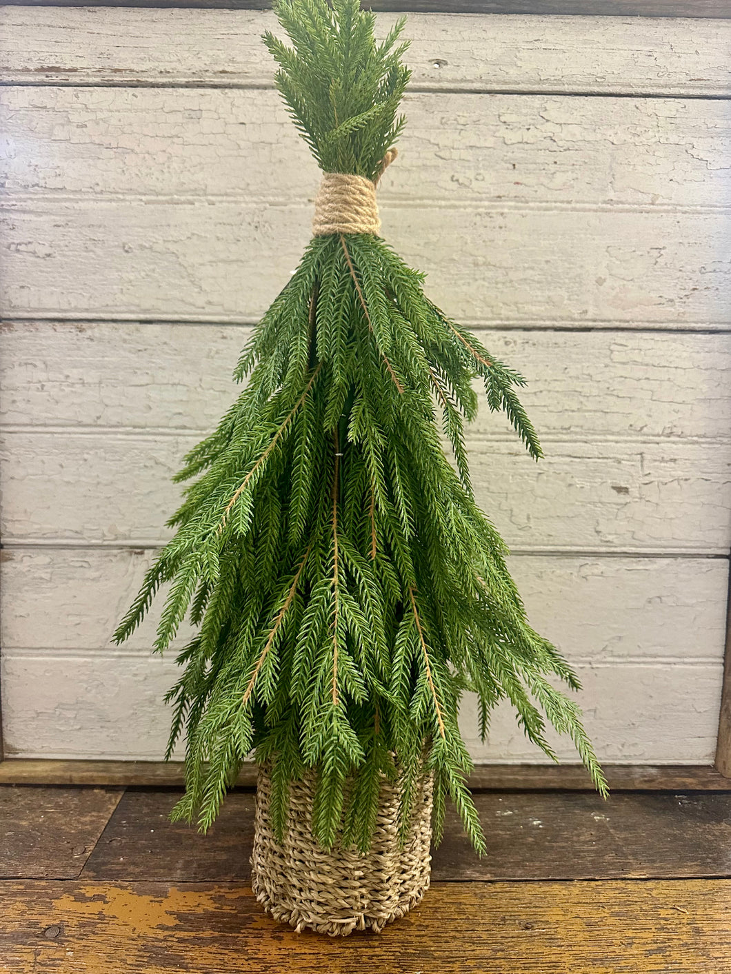 Drooping Soft Touch Austrian Pine in Basket Small