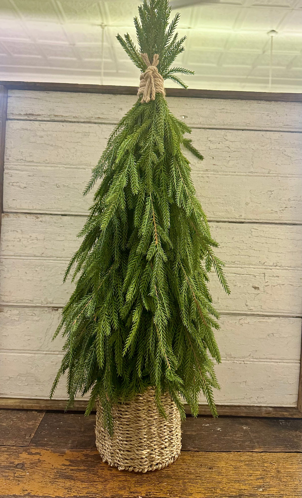 Drooping Soft Touch Austrian Pine in Basket Large