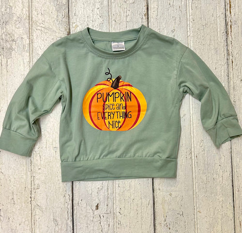 Sage Pumpkin Top