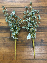 Load image into Gallery viewer, Blue and Brown Daisy Bush Mini