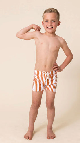Terracotta Stripe Trunks