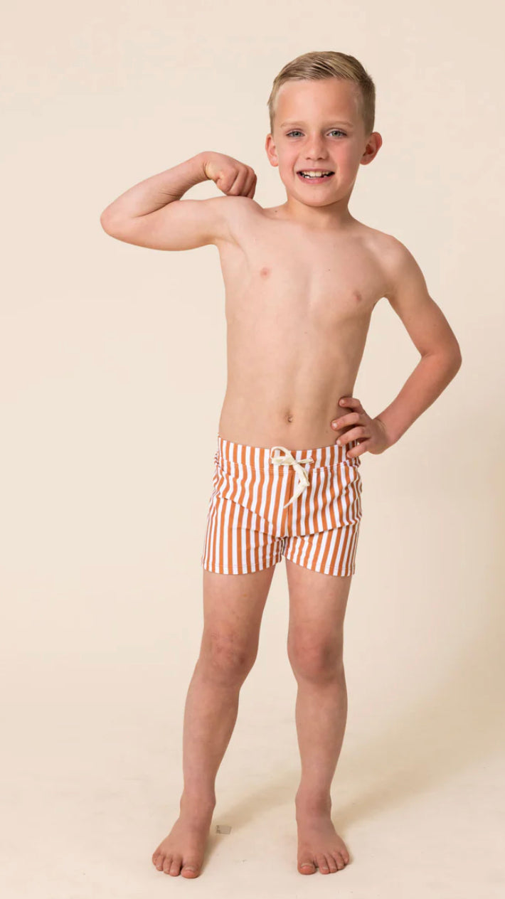Terracotta Stripe Trunks