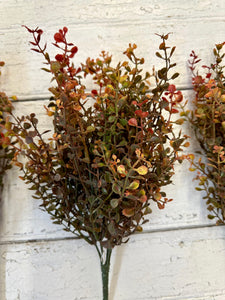 Baby Grass Bush Red