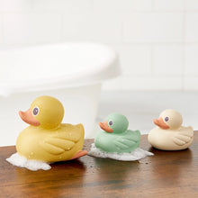 Load image into Gallery viewer, Itzy Duck Family
