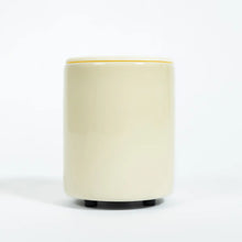 Load image into Gallery viewer, Mini Mod Wax Warmer