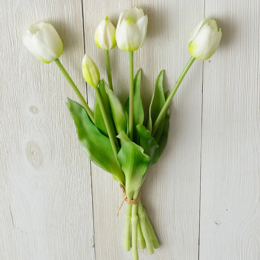 White Tulip Bunch