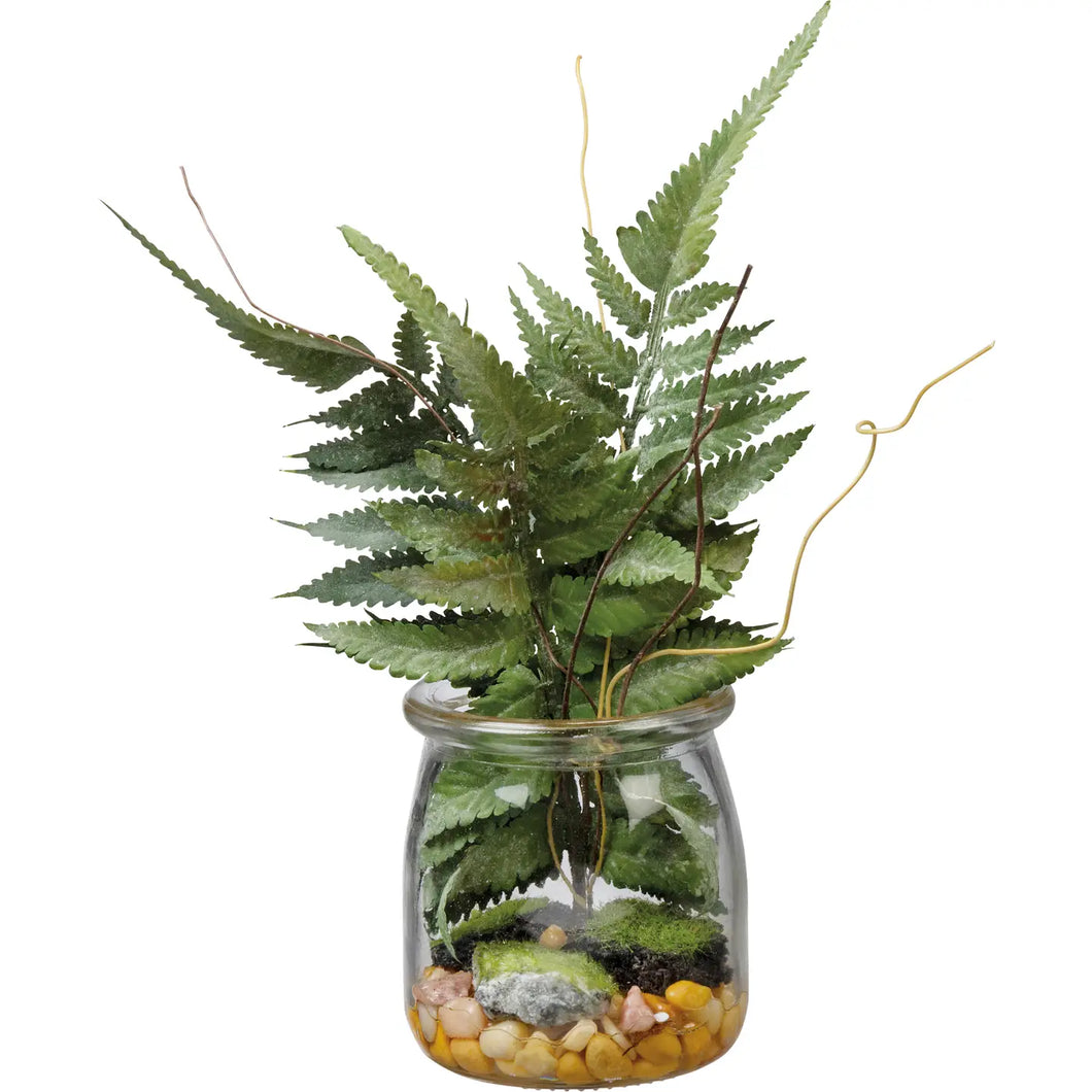 Boston Fern Jar