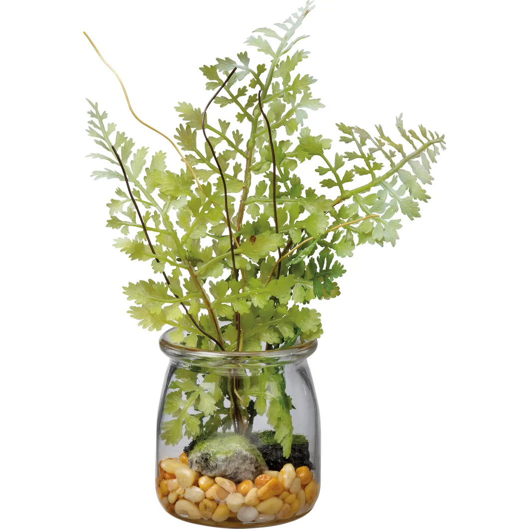 Maidenhair Fern Small Jar
