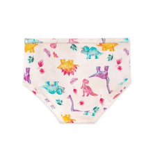 Load image into Gallery viewer, Dino &amp; Tie Dye Underwear