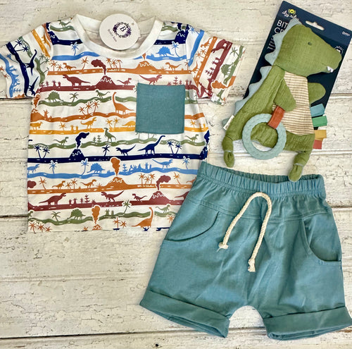 Colorful Dinosaur Set