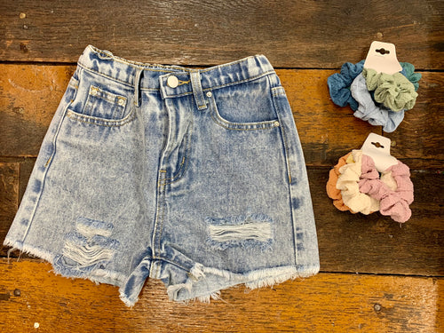 Distressed Jean Shorts