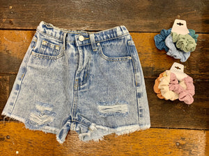 Distressed Jean Shorts