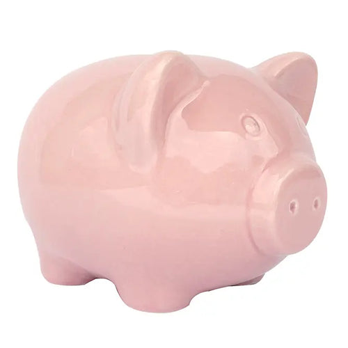 Ceramic Piggy Bank