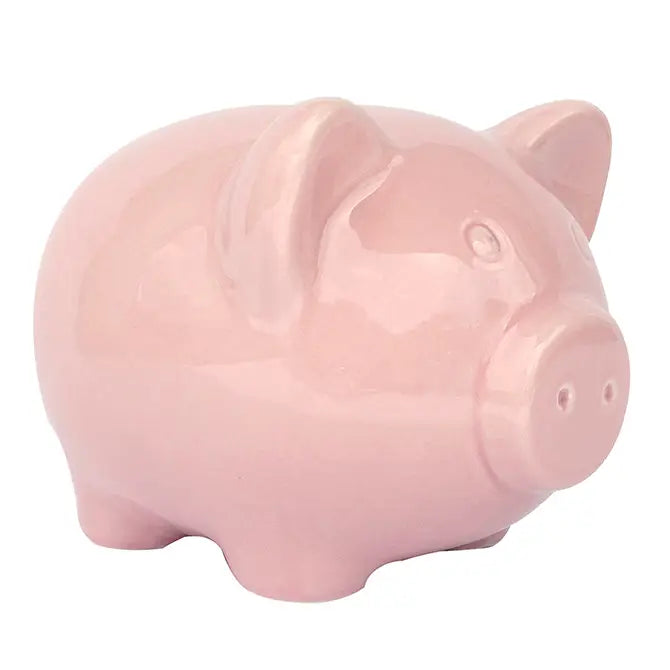Ceramic Piggy Bank